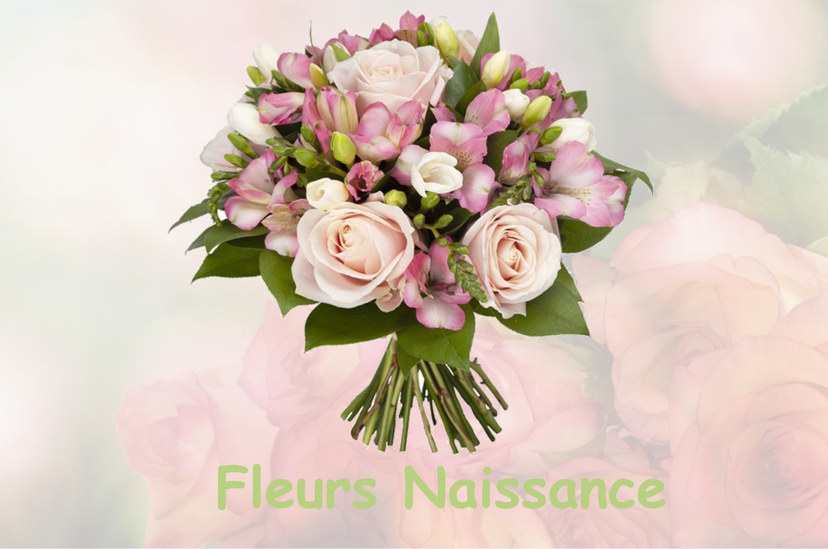 fleurs naissance POYARTIN