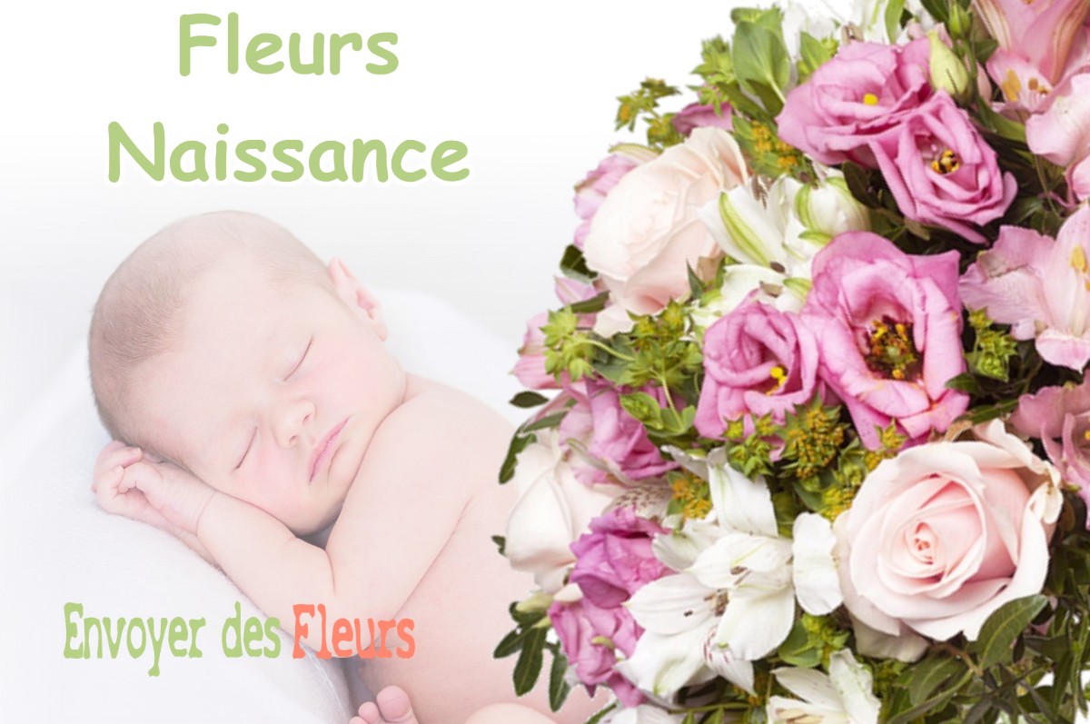 lIVRAISON FLEURS NAISSANCE à POYARTIN